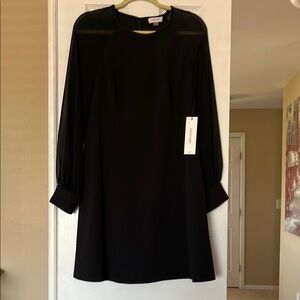 Calvin Klein Black w/Sheer  Long Sleeve Dress sz 10